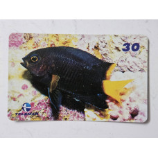 Cartão Telefônico Telemar Raro - Peixe-Donzela de Rabo Amarelo | Coleção Peixes Recifais