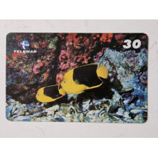 Cartão Telefônico Telemar Raro - Paru-Soldado ou Tricolor | Coleção Peixes Recifais
