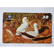 Cartão Telefônico TElemar - Série Filhotes - Atobá (Sula dactylata) - Item de Colecionador