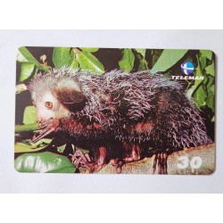 Cartão Telefônico TElemar - Série Primata - Aye Aye - Item de Colecionador