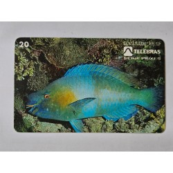 Cartão Telefônico TELebrás - Peixe Budião - 20 U - 1998 - Raro Filatelia Brasil