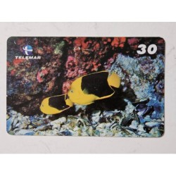 Venda de raro cartão telefônico Telemar da série "Peixes Recifais" (2001). Item colecionável com a imagem do Paru-Sold
