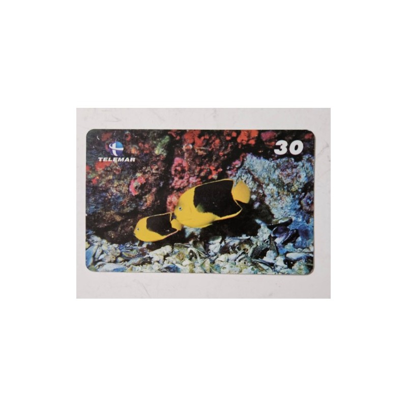 Venda de raro cartão telefônico Telemar da série "Peixes Recifais" (2001). Item colecionável com a imagem do Paru-Sold