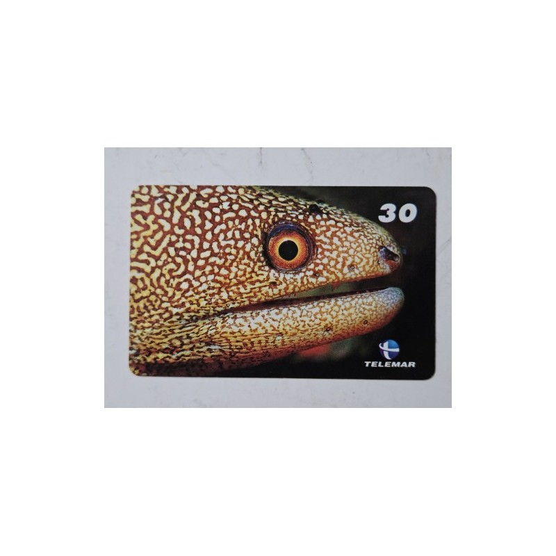 Venda de raro cartão telefônico Telemar da série "Peixes Recifais", com a imagem e informações sobre a Moréia-Ouro (Ca