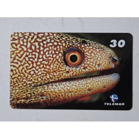 Venda de raro cartão telefônico Telemar da série "Peixes Recifais", com a imagem e informações sobre a Moréia-Ouro (Ca